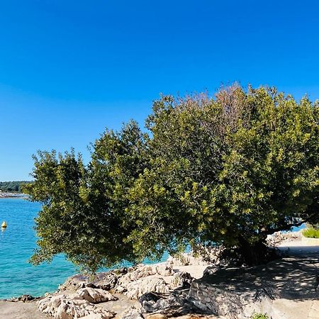 Apartmani Mate Rogoznica  Luaran gambar