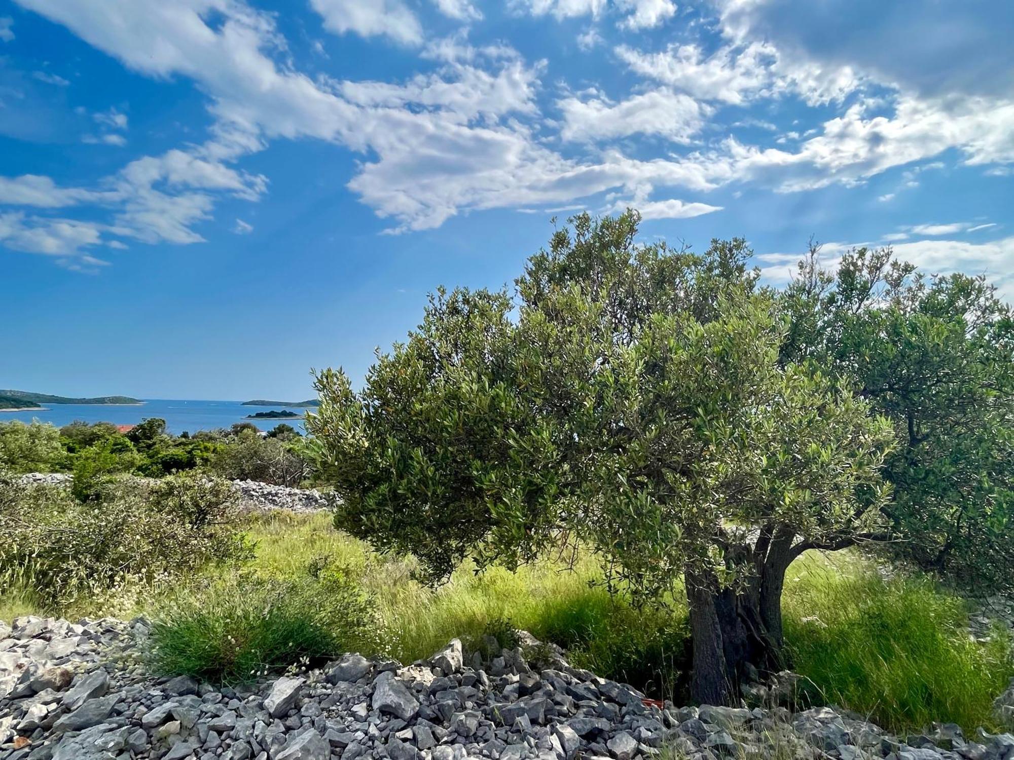 Apartmani Mate Rogoznica  Luaran gambar