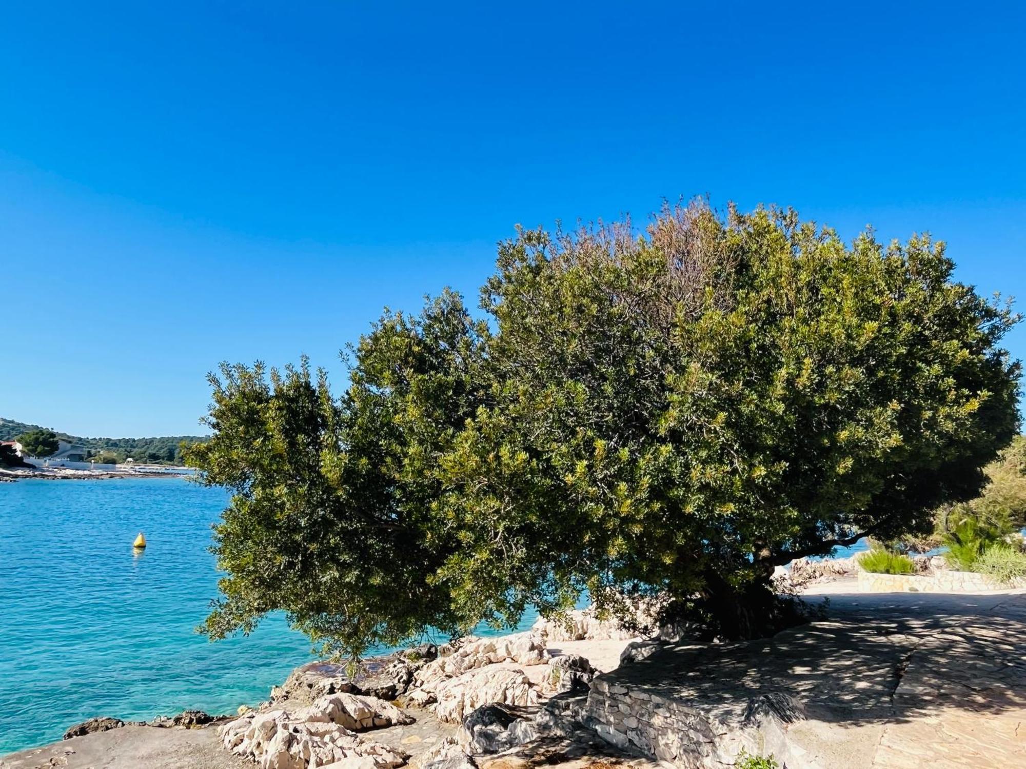 Apartmani Mate Rogoznica  Luaran gambar